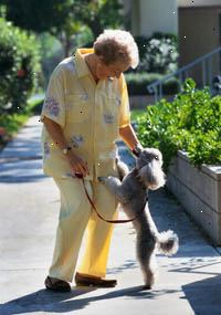 Immagine di una donna anziana che cammina il suo cane