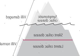 Celiachia iceberg