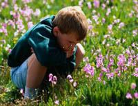 Immagine di giovane ragazzo seduto in un campo di fiori selvatici