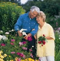 Foto di una coppia di anziani in un giardino